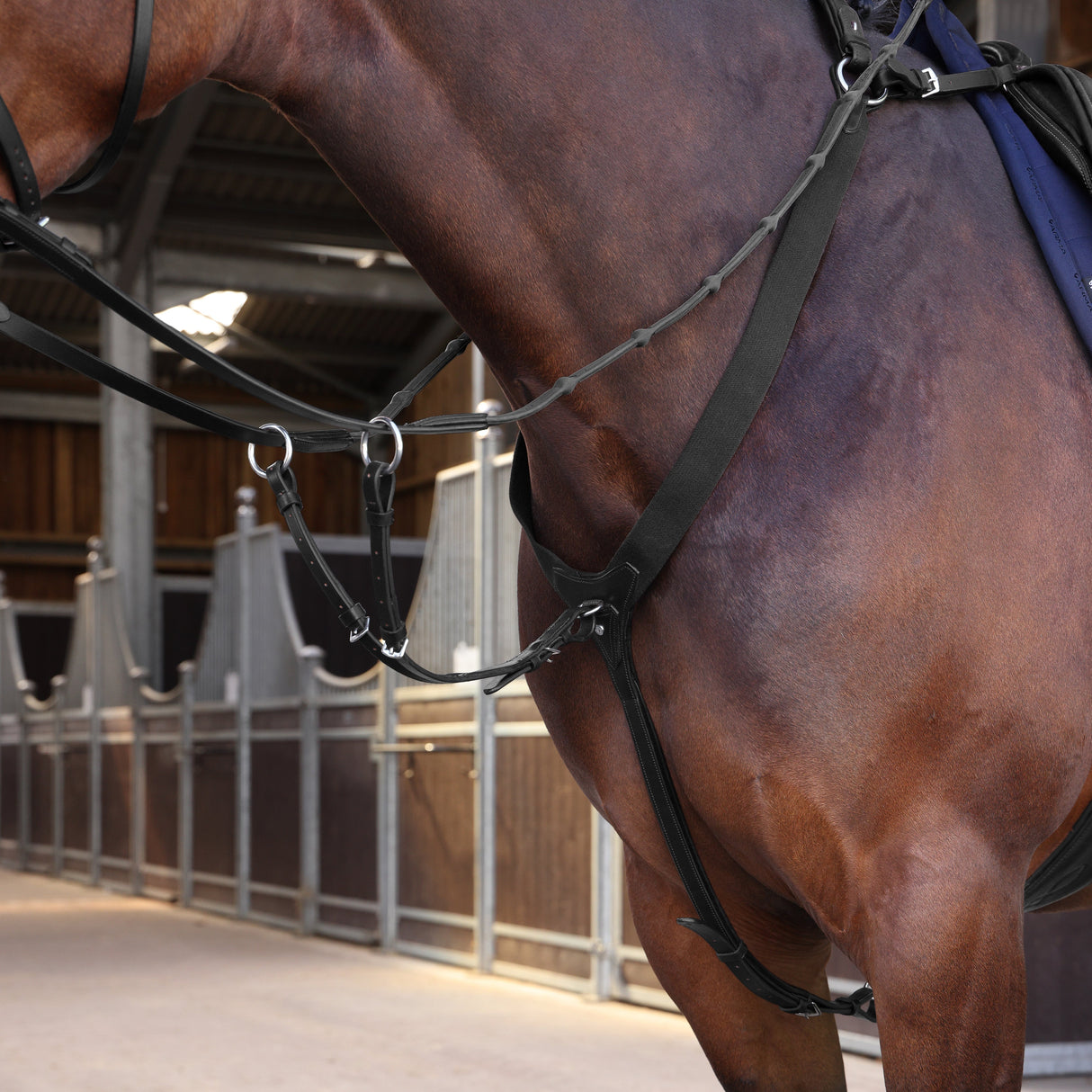 Shires Velociti LUSSO Elite Elastic Breastplate