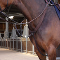 Shires Velociti LUSSO Elite Elastic Breastplate