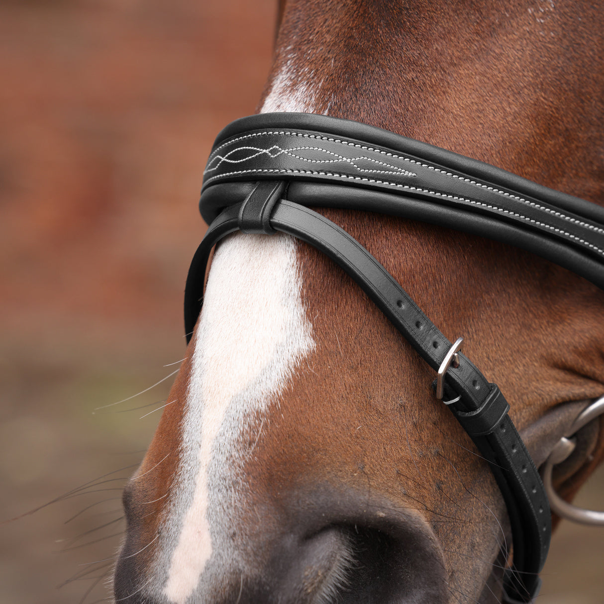 Shires Velociti LUSSO Opus 180M Padded Flash Bridle #colour_black