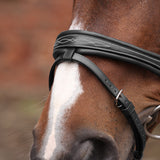 Shires Velociti LUSSO Opus 180M Padded Flash Bridle #colour_black