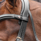 Shires Velociti LUSSO Opus 180M Padded Flash Bridle