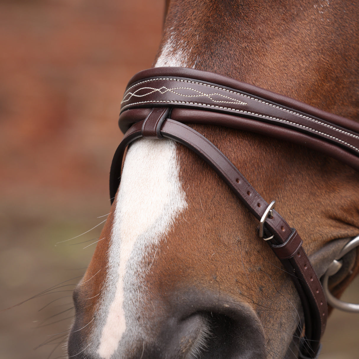 Shires Velociti LUSSO Opus 180M Padded Flash Bridle #colour_havana
