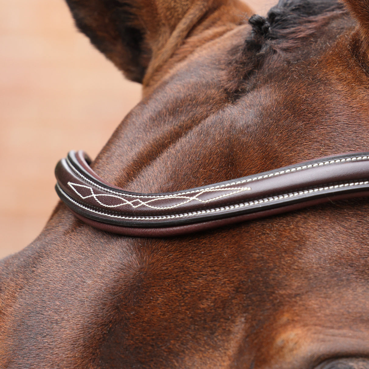 Shires Velociti LUSSO Opus 180M Padded Flash Bridle #colour_havana