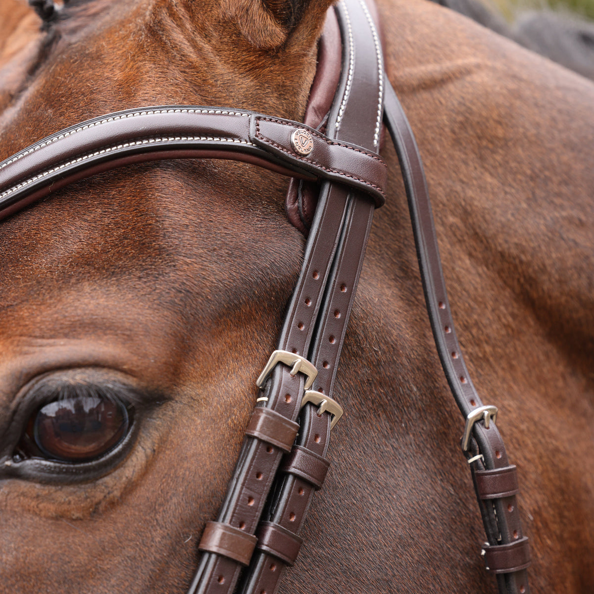 Shires Velociti LUSSO Opus 180M Padded Flash Bridle