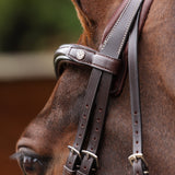 Shires Velociti LUSSO Opus 180M Padded Flash Bridle