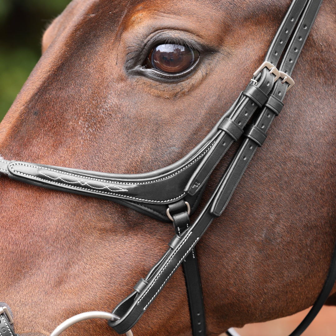Shires Velociti LUSSO Opus 180M Grackle Bridle #colour_black