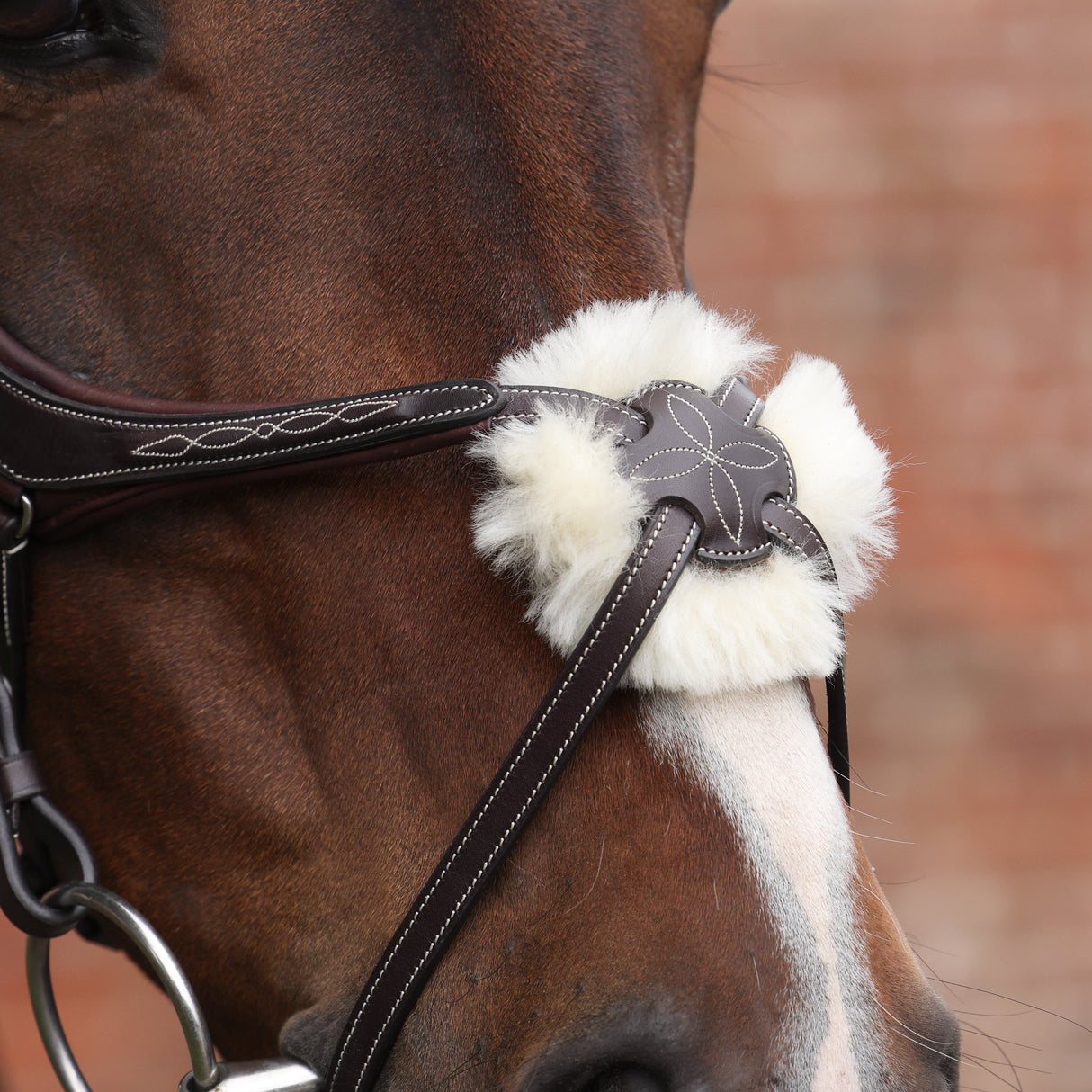 Shires Velociti LUSSO Opus 180M Grackle Bridle #colour_havana