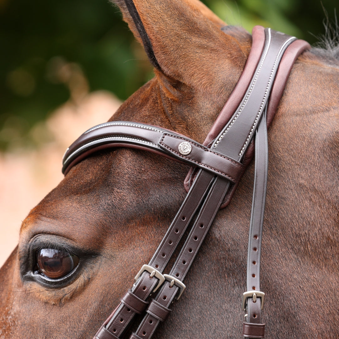 Shires Velociti LUSSO Opus 180M Ergonomic Flash Bridle #colour_havana