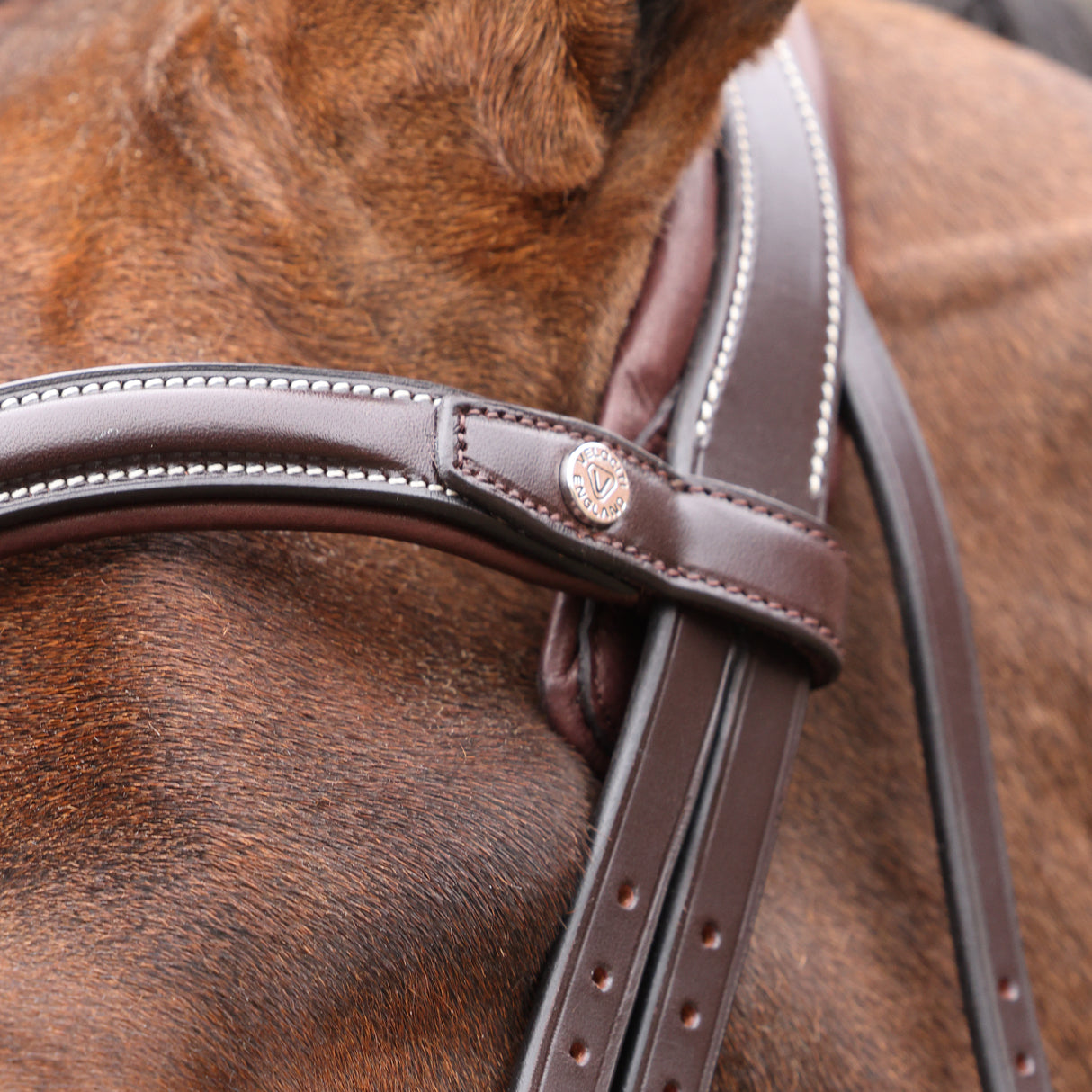 Shires Velociti LUSSO Opus 180M Ergonomic Flash Bridle #colour_havana