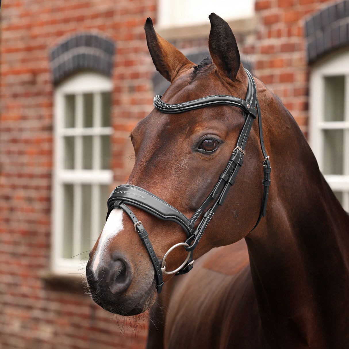 Shires Velociti LUSSO Opus 180M Dressage Flash Bridle #colour_black