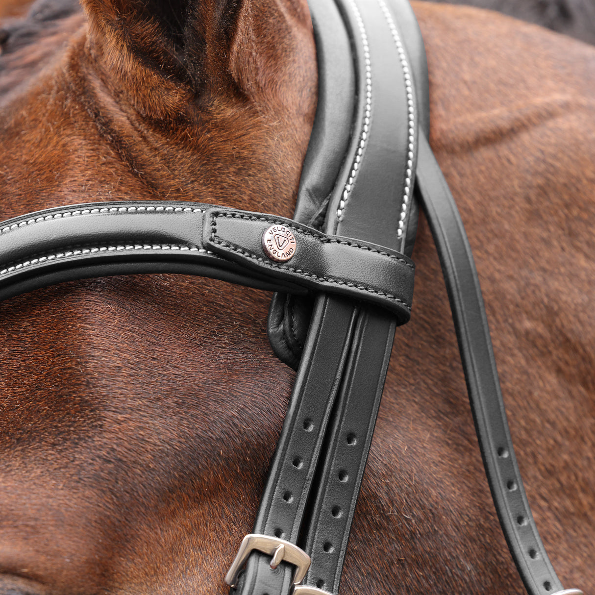 Shires Velociti LUSSO Opus 180M Dressage Flash Bridle #colour_black