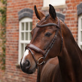 Shires Velociti LUSSO Opus 180M Dressage Flash Bridle #colour_havana