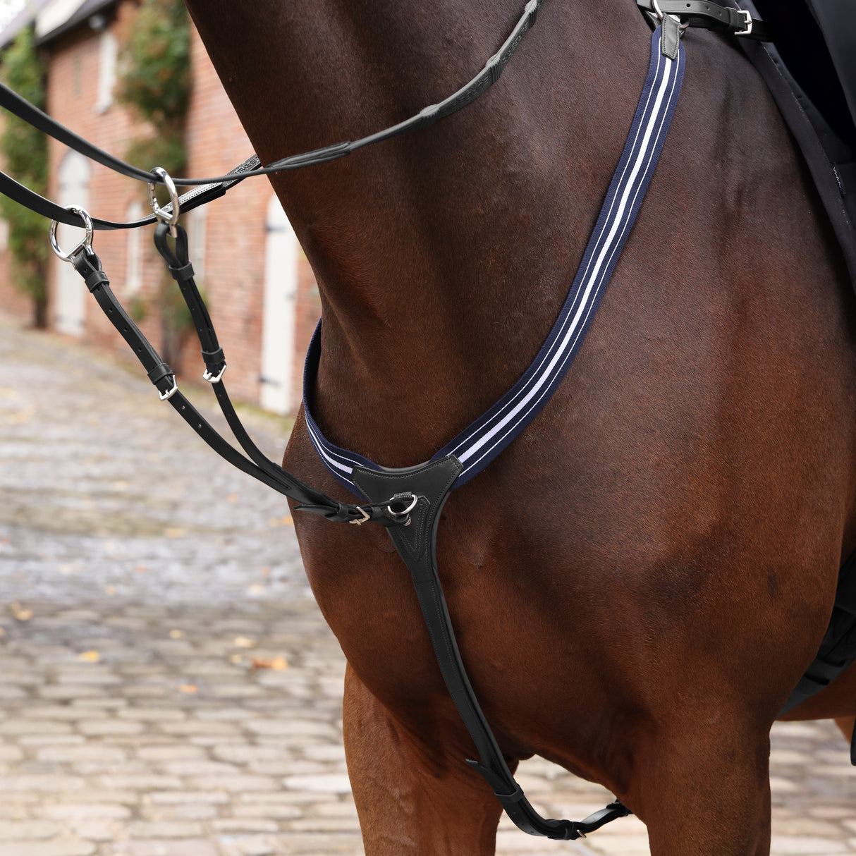 Shires Velociti LUSSO Opus Elastic Breastplate #colour_black