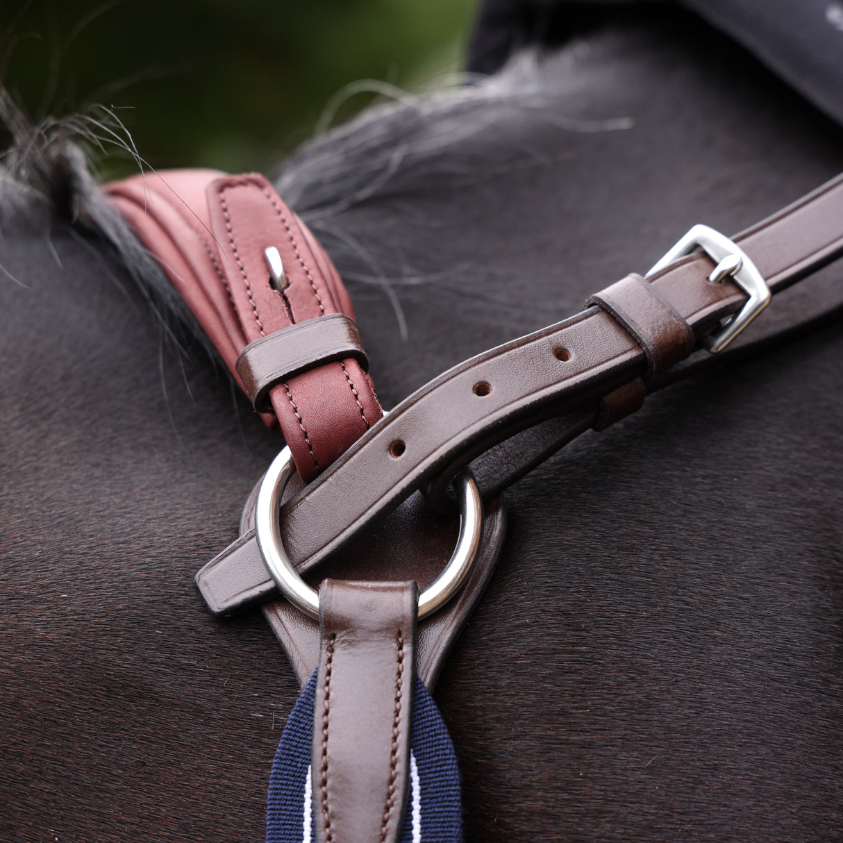 Shires Velociti LUSSO Opus Elastic Breastplate #colour_havana