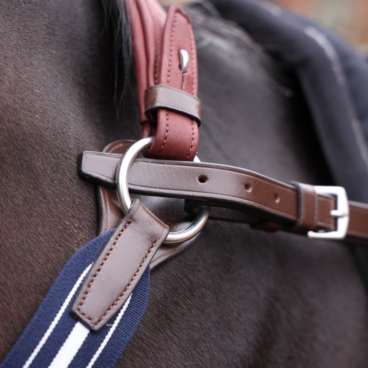 Shires Velociti LUSSO Opus Elastic Breastplate #colour_havana