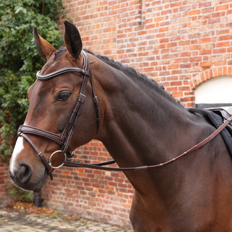 Shires Velociti LUSSO Opus SureGrip Reins