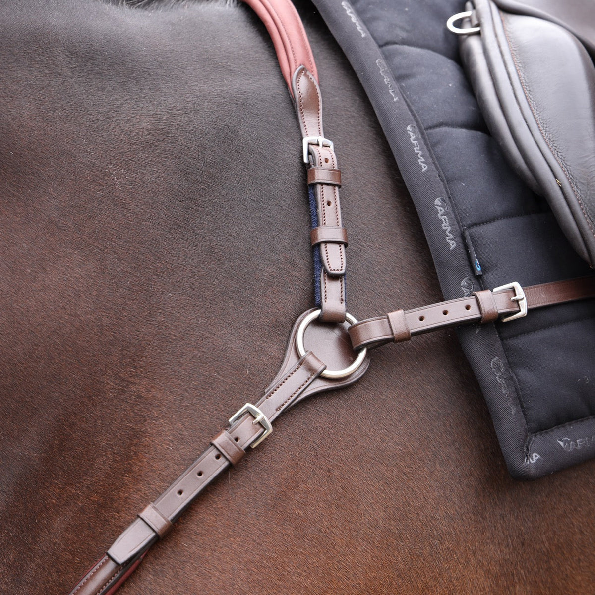 Shires Velociti LUSSO Opus Running Martingale