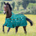 Shires Ontario 100g Turnout Rug #colour_teal-horse
