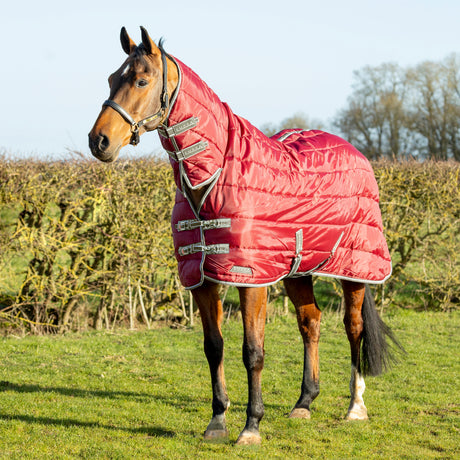 StormX Empra 300g Combi Stable Rug #colour_burgundy