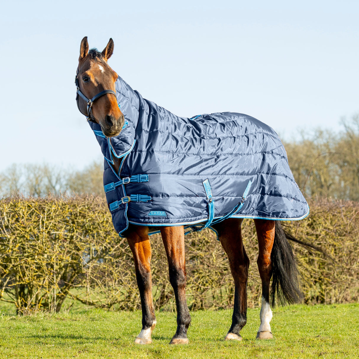 StormX Empra 200g Combi Stable Rug #colour_navy