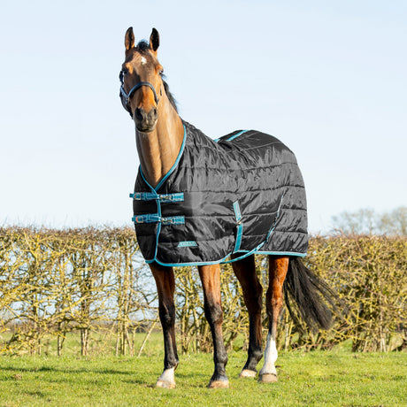 StormX Empra 100g Stable Rug #colour_black