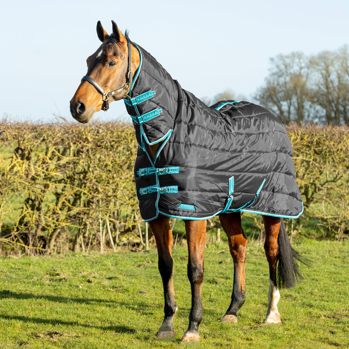 StormX Empra 100g Combi Stable Rug #colour_back
