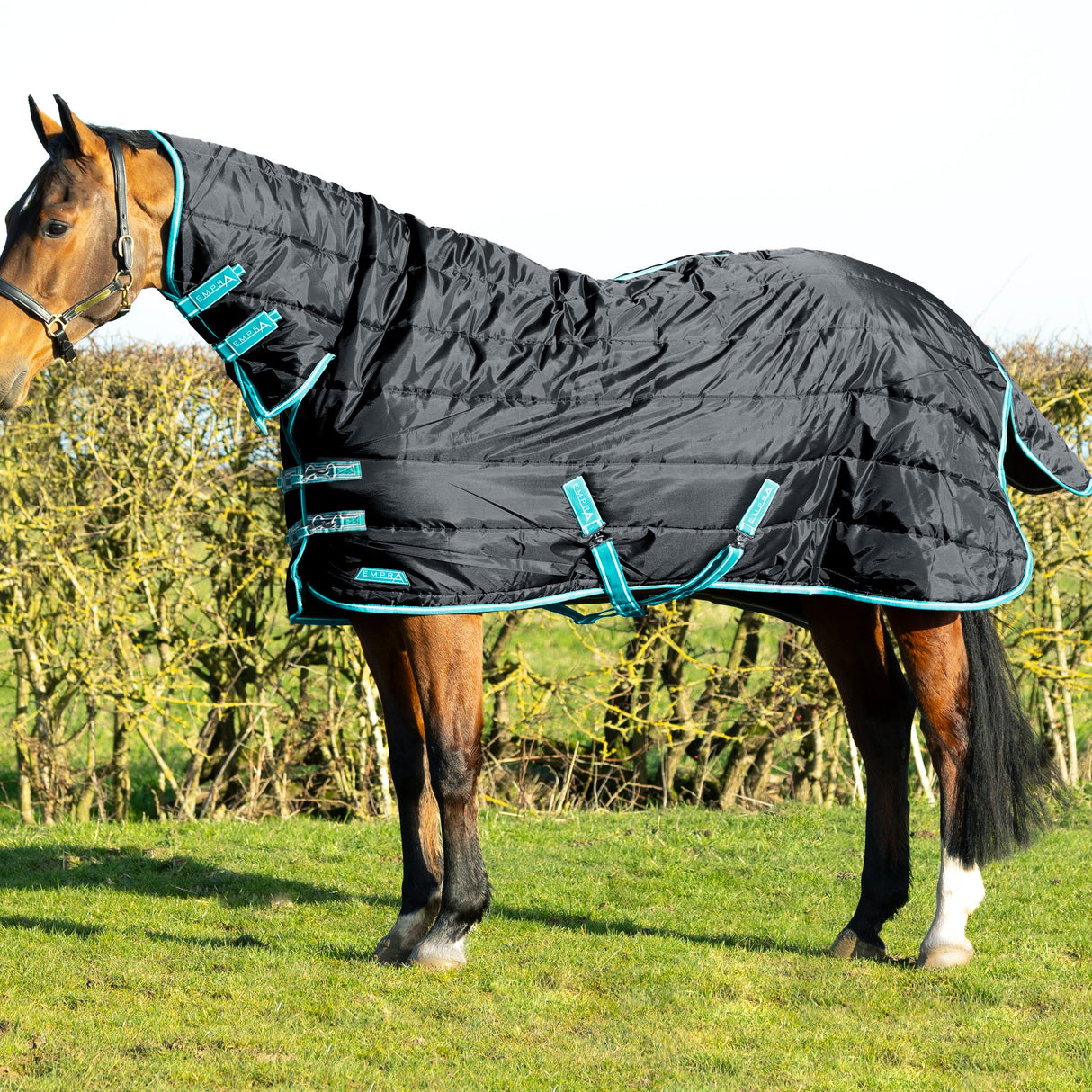 StormX Empra 100g Combi Stable Rug #colour_back
