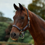 Dublin Braided Leather Padded Horse Headcollar