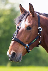 Shires Greenguard Headcollar