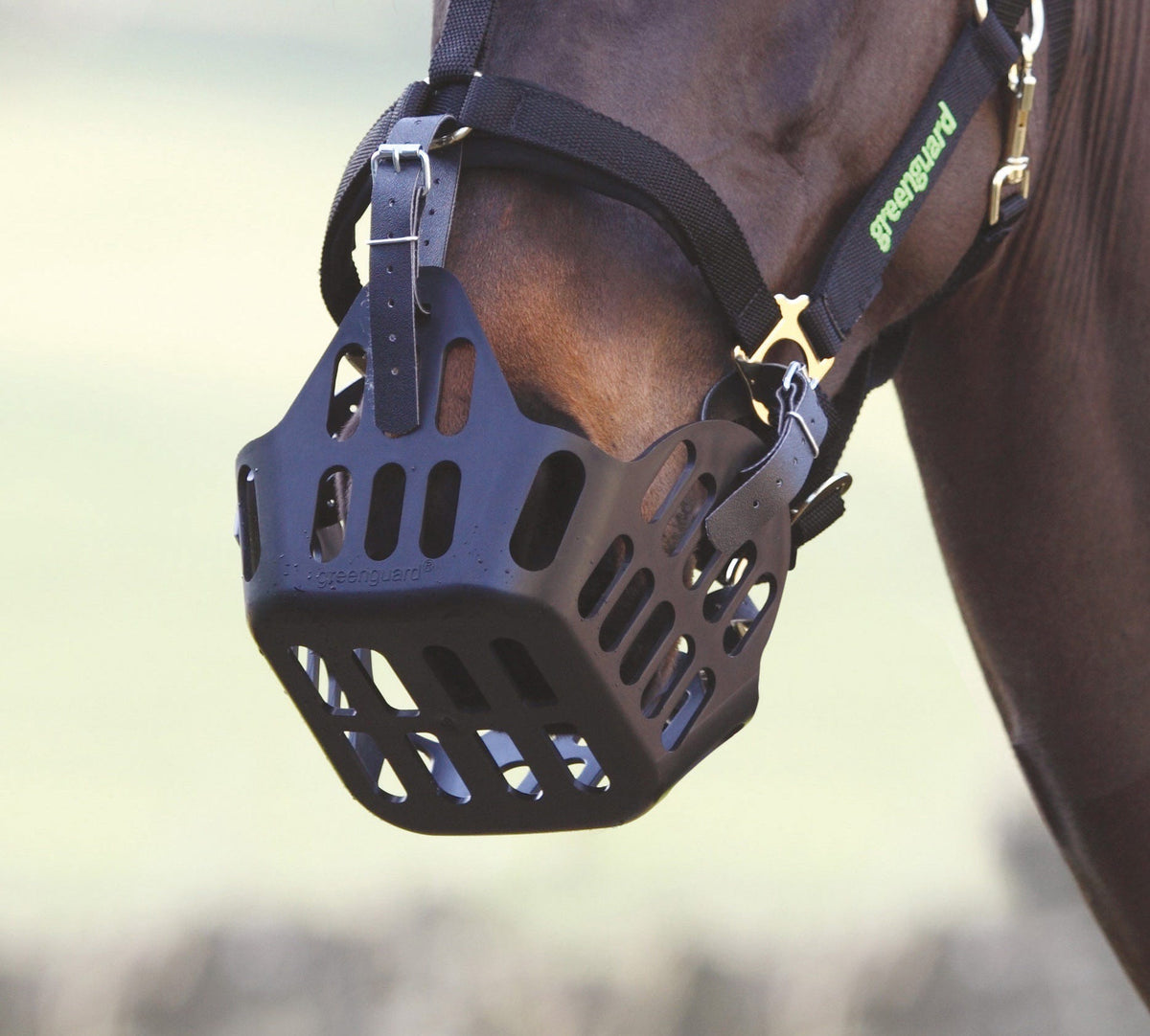 Muselière Shires Greenguard