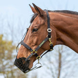 Muselière Shires Greenguard