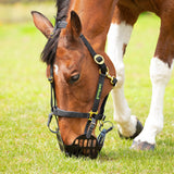 Muselière Shires Greenguard