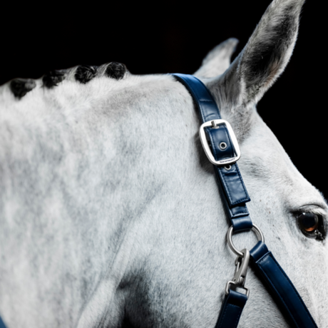 Horseware Ireland Grooming Headcollar #colour_navy