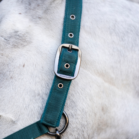 Horseware Ireland Headcollar & Leadrope #colour_dynasty-green