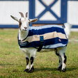 Horseware Ireland Newmarket Goat Fleece #colour_whitney-navy