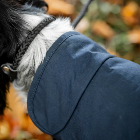 Horseware Ireland Newmarket Heritage Dog Coat #colour_navy-whitney-navy