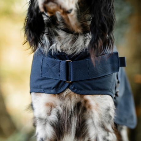 Horseware Ireland Newmarket Heritage Dog Coat #colour_navy-whitney-navy