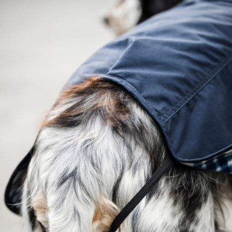 Horseware Ireland Newmarket Heritage Dog Coat #colour_navy-whitney-navy