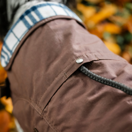 Horseware Ireland Newmarket Heritage Dog Coat #colour_brown-whitney-navy