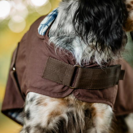 Horseware Ireland Newmarket Heritage Dog Coat #colour_brown-whitney-navy