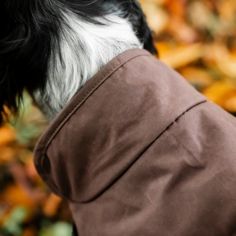 Horseware Ireland Newmarket Heritage Dog Coat #colour_brown-whitney-navy