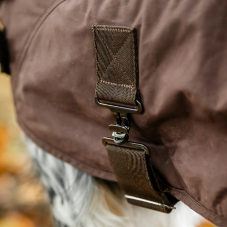 Horseware Ireland Newmarket Heritage Dog Coat #colour_brown-whitney-navy