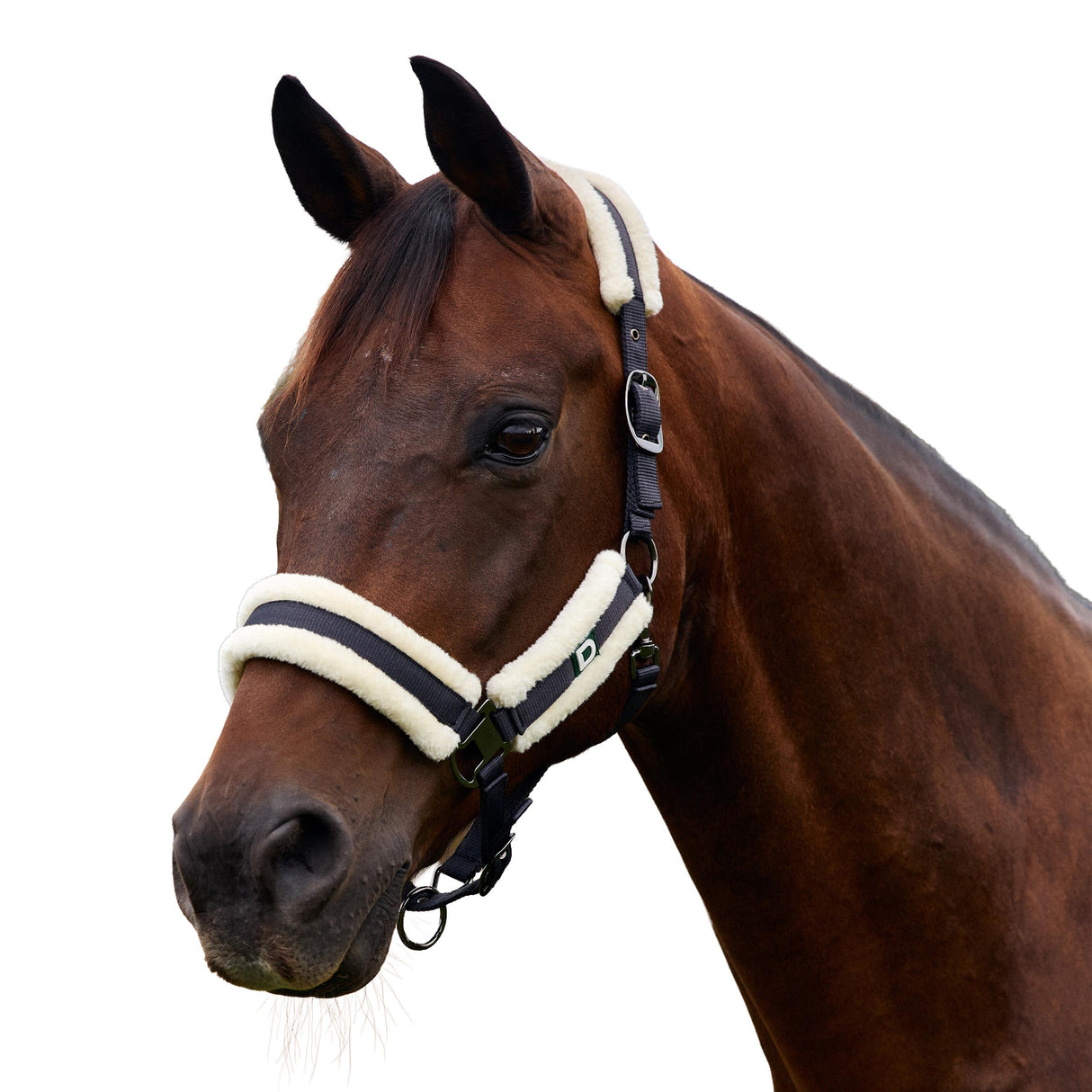 Dublin Soft Fit Fleece Padded Horse Headcollar