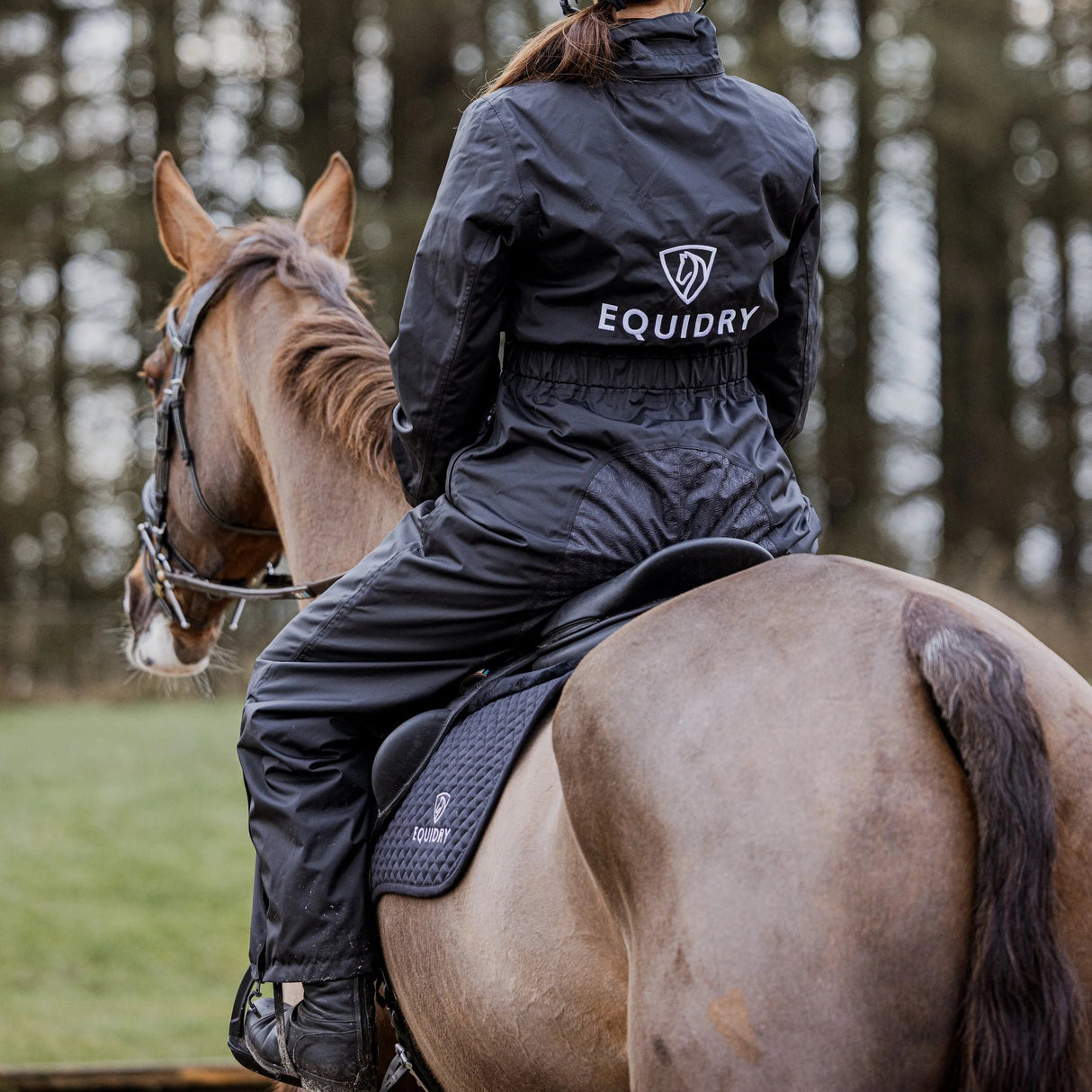 EQUIDRY Women's All-In-One #colour_black