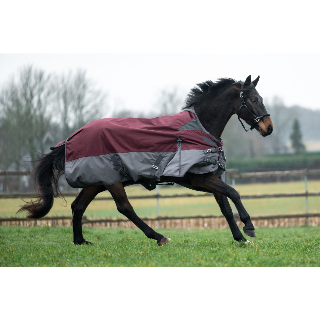 HKM 600D Fleece Lined High Neck Turnout Rug -Yukon- #colour_darkred-grey