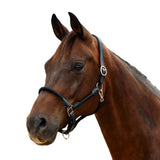 Dublin Leather Rope Headcollar with Nickel Buckles