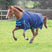 Shires Ontario Lite Turnout Rug #colour_navy