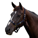 Dublin Everyday Nylon Headcollar for Horses
