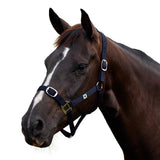 Dublin Everyday Nylon Headcollar for Horses
