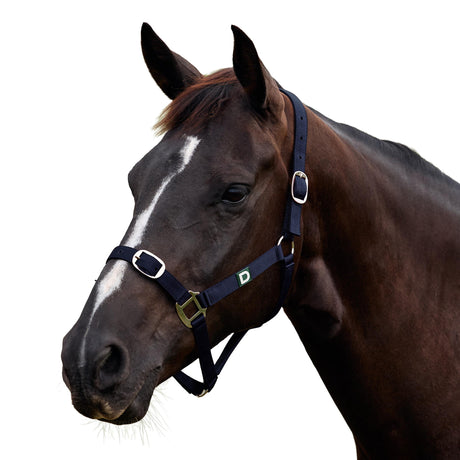 Dublin Everyday Nylon Headcollar for Horses